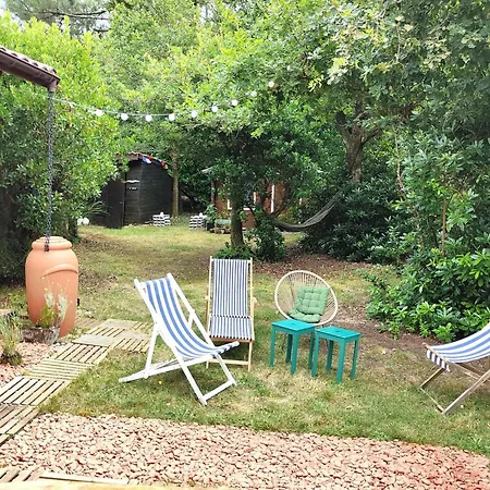 Landaise Avec Independant, Proche Bassin, Commerces Et Plages - 8 Pers., Jardin, Wifi - Fr-1-736-29 Villa Lege-Cap-Ferret