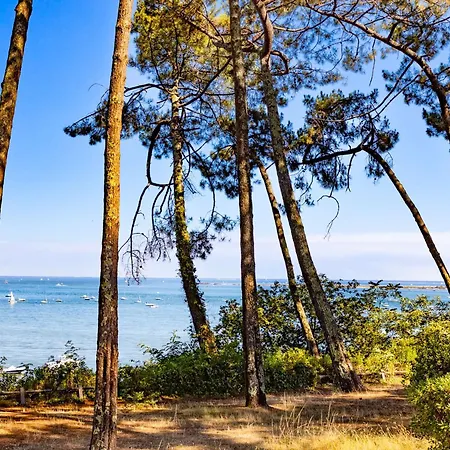 Willa Landaise Avec Independant, Proche Bassin, Commerces Et Plages - 8 Pers., Jardin, Wifi - Fr-1-736-29 *