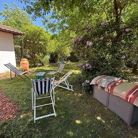 Villa Landaise Avec Indépendant, Proche Bassin, Commerces Et Plages - 8 Pers., Jardin, Wifi - Fr-1-736-29 *
